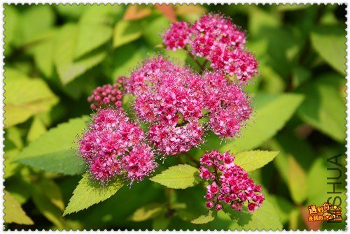 ��Ƭ 067_����.jpg