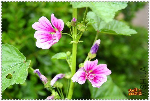 ��Ƭ 080_����.jpg