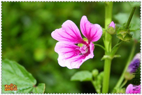 ��Ƭ 081_����.jpg