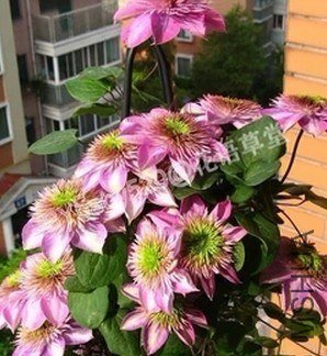 QQͼƬ20130630175630.jpg