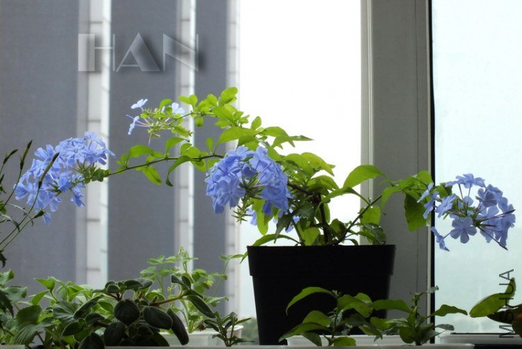 DSCF4915.JPG