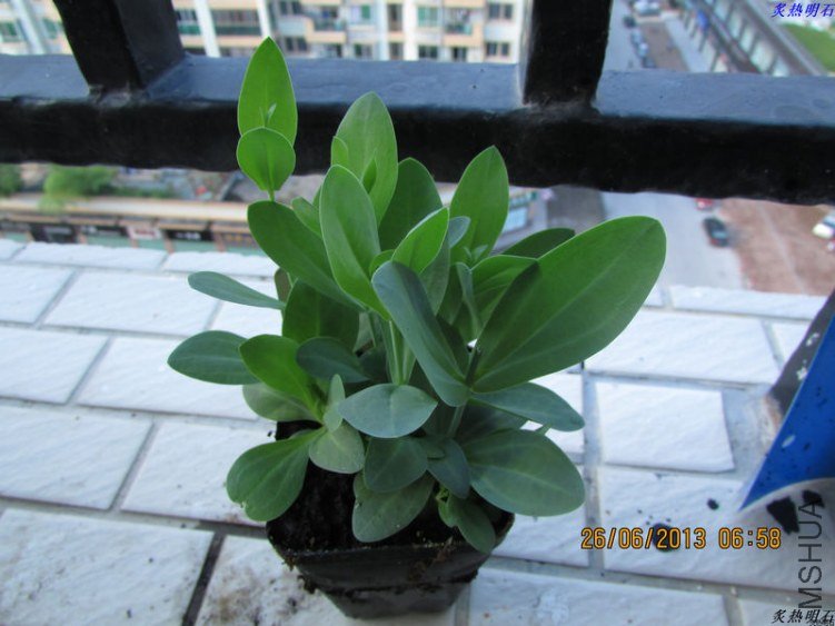 IMG_7715_nEO_IMG.jpg
