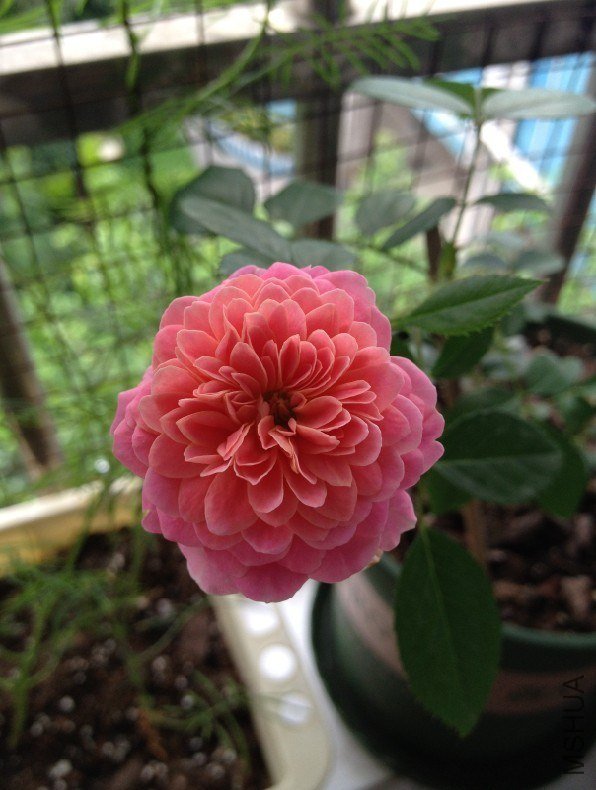 QQͼƬ20130701102624.jpg