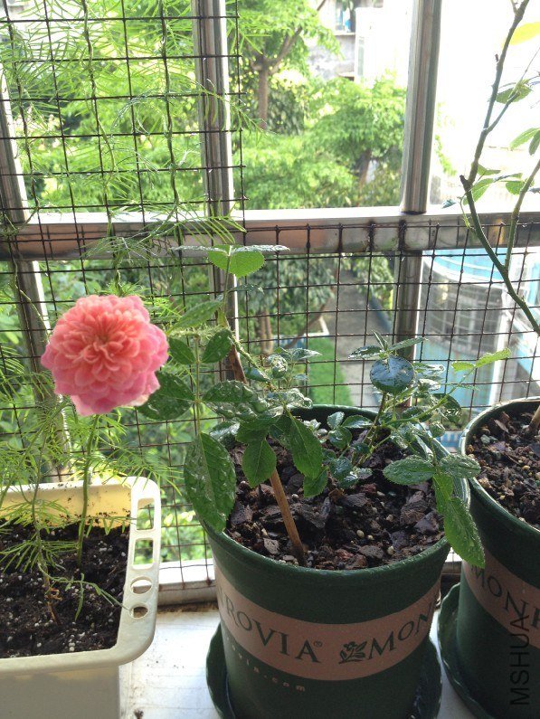 QQͼƬ20130701102701.jpg