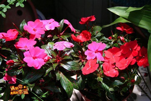 ��Ƭ 084_����.jpg