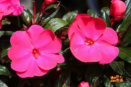 ��Ƭ 086_����.jpg