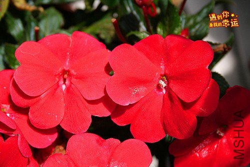 ��Ƭ 089_����.jpg