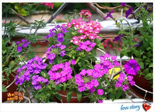 ��Ƭ 187_����.jpg