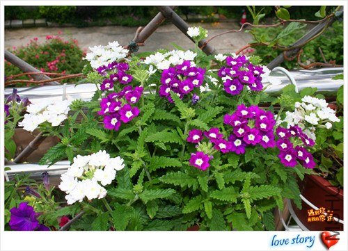 ��Ƭ 193_����.jpg