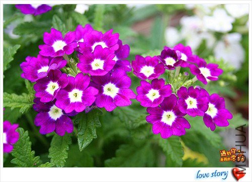 ��Ƭ 196_����.jpg