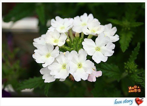 ��Ƭ 197_����.jpg