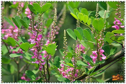 ��Ƭ 034_����.jpg