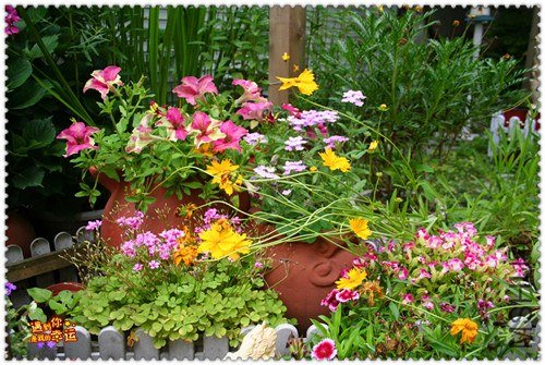 ��Ƭ 066_����.jpg