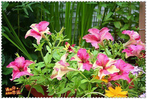 ��Ƭ 069_����.jpg