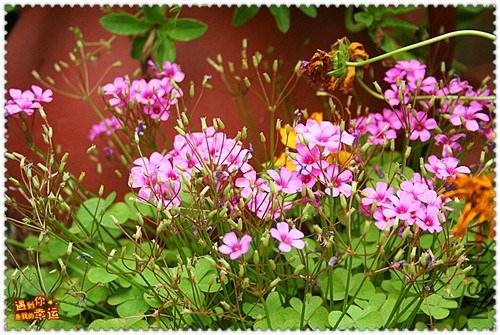 ��Ƭ 070_����.jpg