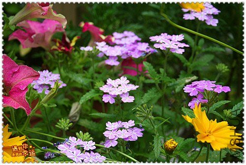 ��Ƭ 072_����.jpg