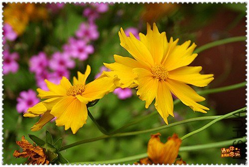 ��Ƭ 073_����.jpg