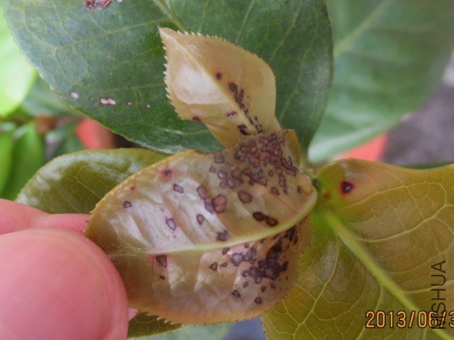 QQͼƬ20130701224354.jpg