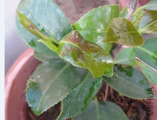 QQͼƬ20130701224410.jpg