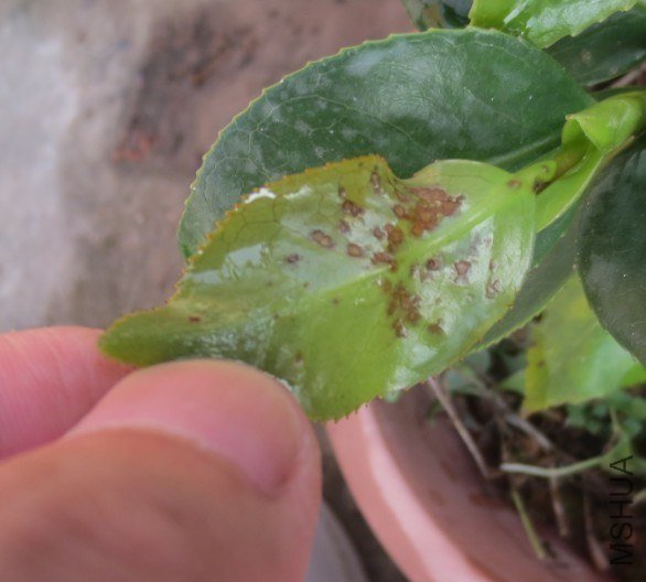 QQͼƬ20130701224424.jpg
