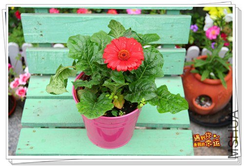 ��Ƭ 020_����.jpg