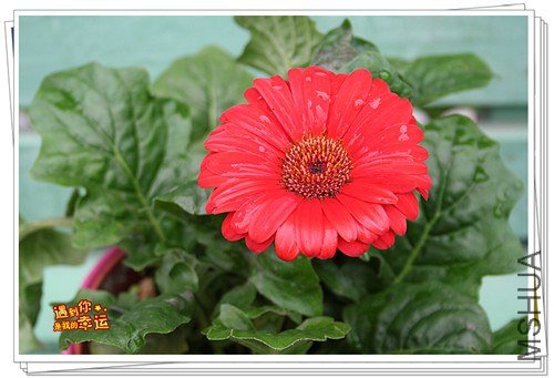 ��Ƭ 021_����.jpg