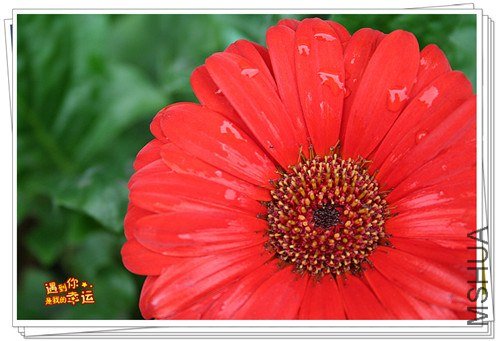 ��Ƭ 022_����.jpg