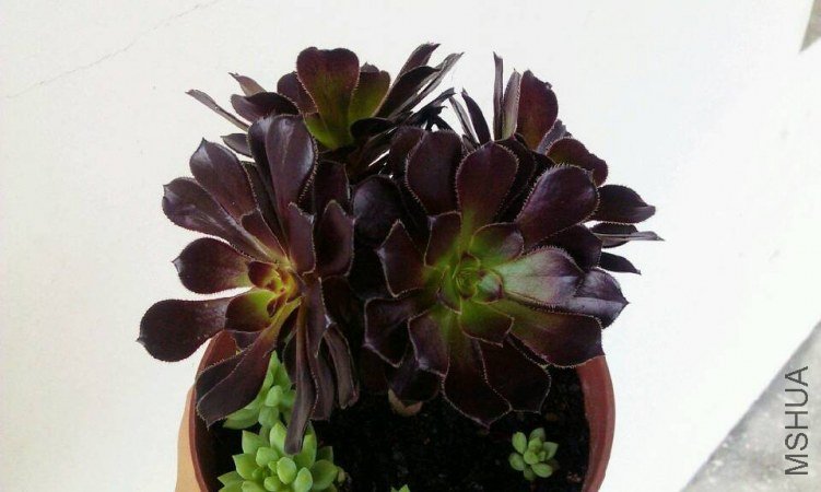 QQͼƬ20130630154241.jpg