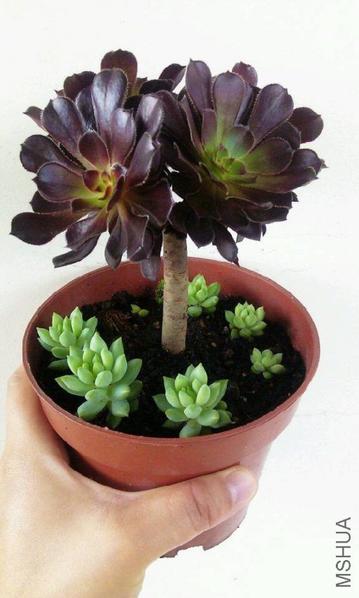 QQͼƬ20130630154237.jpg