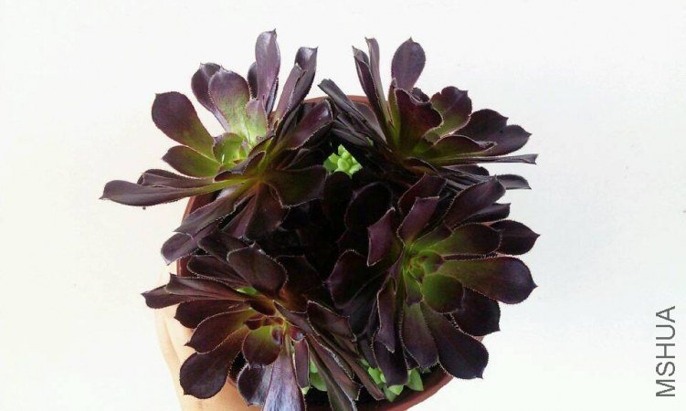 QQͼƬ20130630154234.jpg