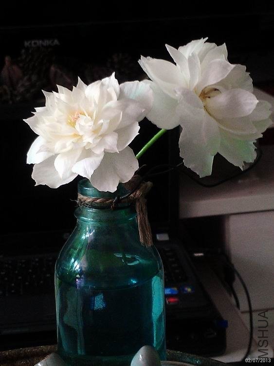 ������С C360_2013-07-02-11-29-33-180.jpg