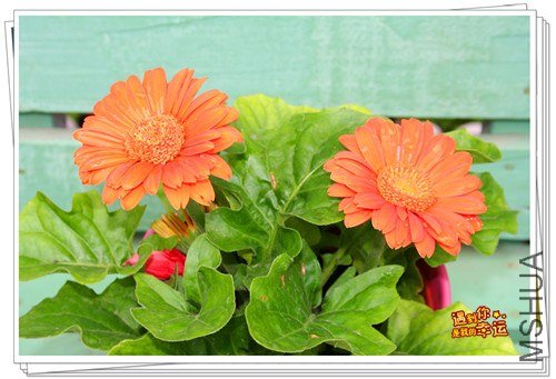 ��Ƭ 027B_����.jpg