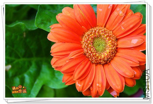 ��Ƭ 030_����.jpg