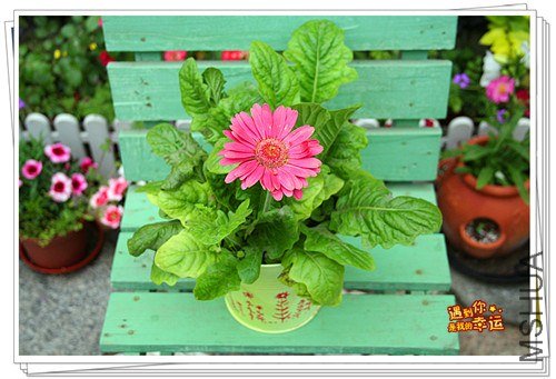 ��Ƭ 031_����.jpg