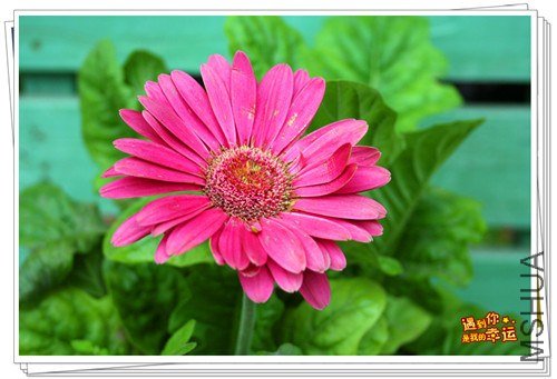 ��Ƭ 034_����.jpg