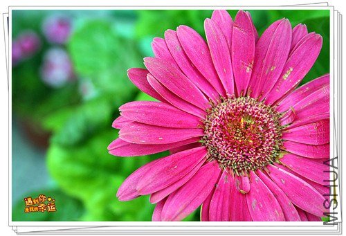 ��Ƭ 036_����.jpg