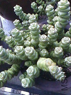 IMG0702084200.jpg