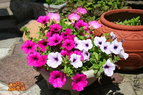 ��Ƭ 030_����.jpg