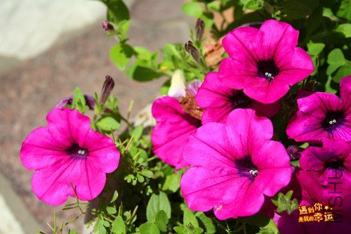 ��Ƭ 032_����.jpg