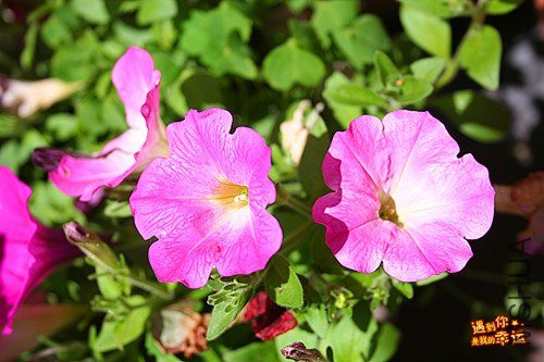 ��Ƭ 034_����.jpg