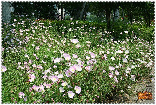 ��Ƭ 046_����.jpg