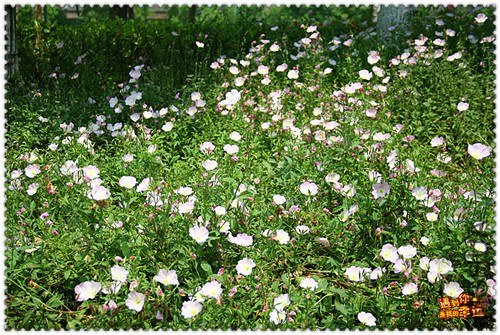 ��Ƭ 047_����.jpg