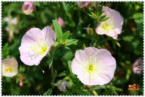 ��Ƭ 049_����.jpg