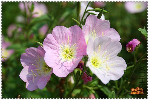 ��Ƭ 051_����.jpg