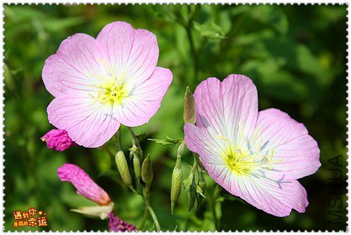 ��Ƭ 053_����.jpg