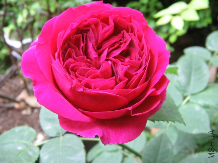 ����Ƭww 047.jpg