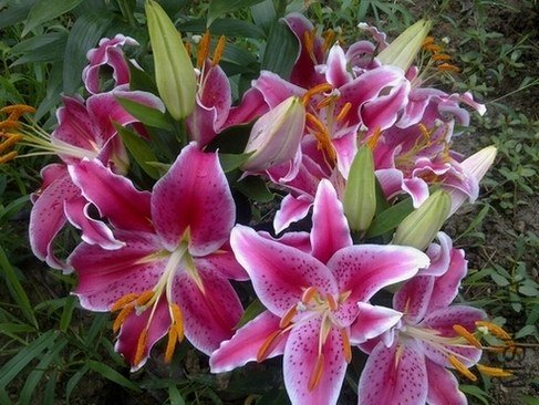 201306283020.jpg