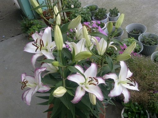 201306303032.jpg