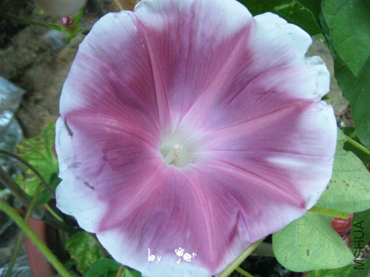 DSCF7583_����.jpg