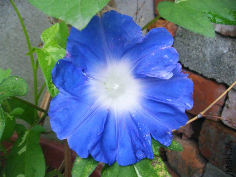 DSCF7570_����.jpg